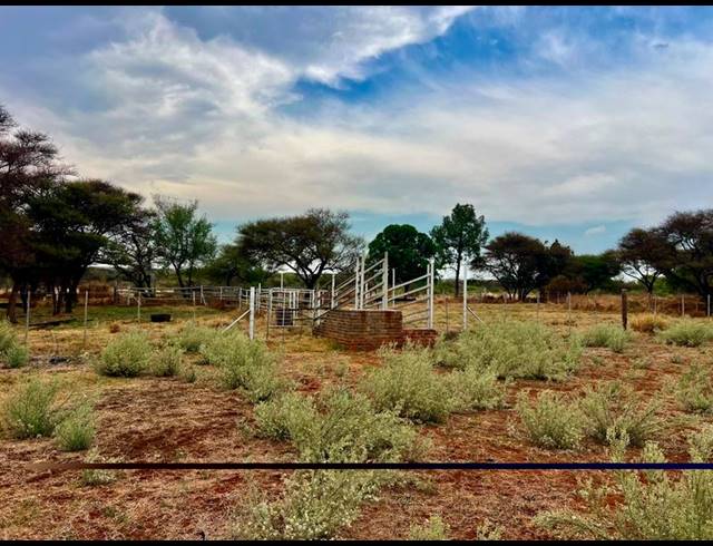 FARM FOR SALE IN DWAALBOOM